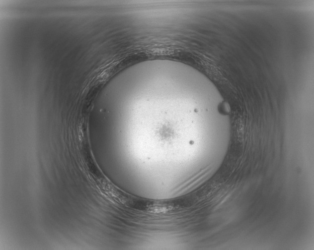 X0000054370746200508262341