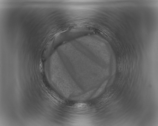 X0000054370748200508262341