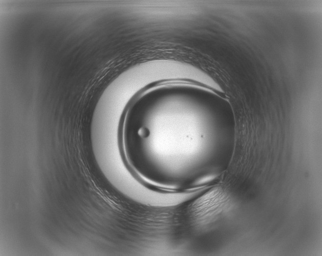 X0000054370750200508262341