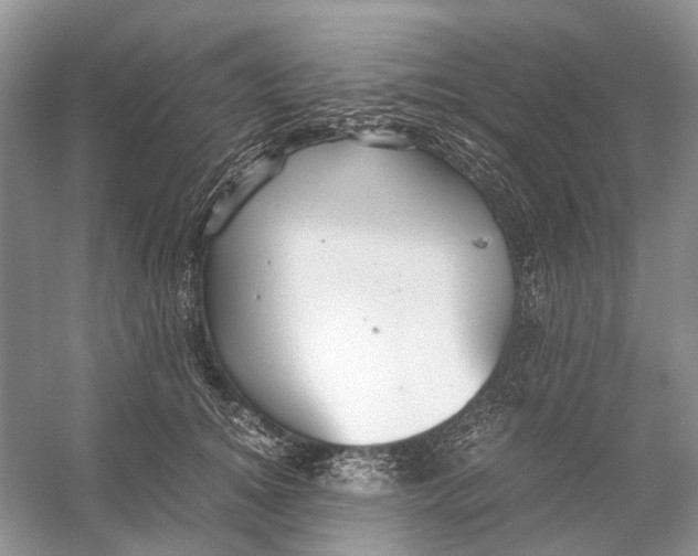 X0000054370756200508262341