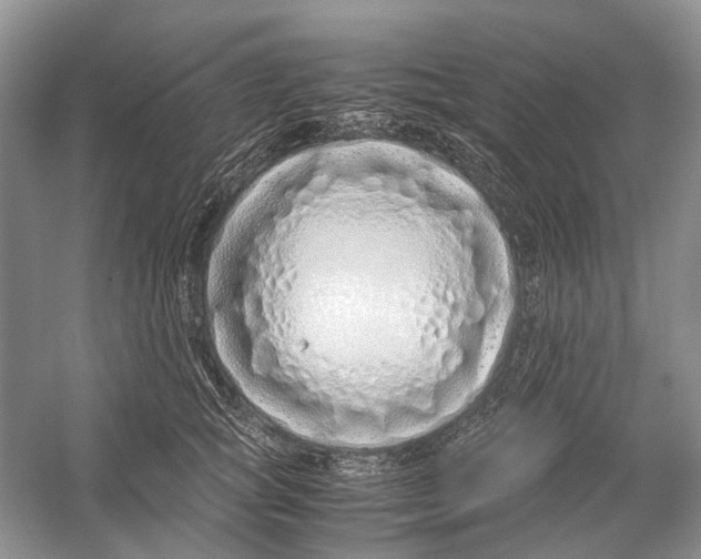 X0000054370757200508262341