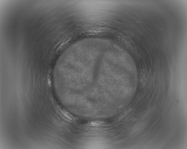 X0000054370758200508262341