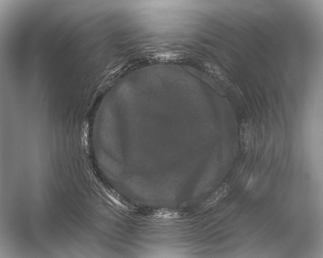 X0000054370760200508262341