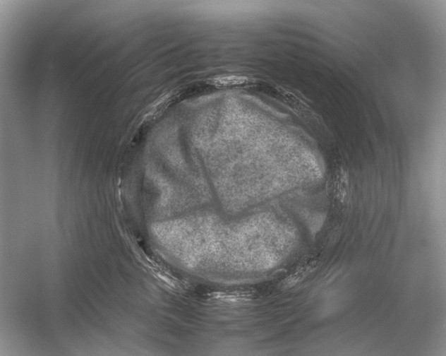 X0000054370763200508262341