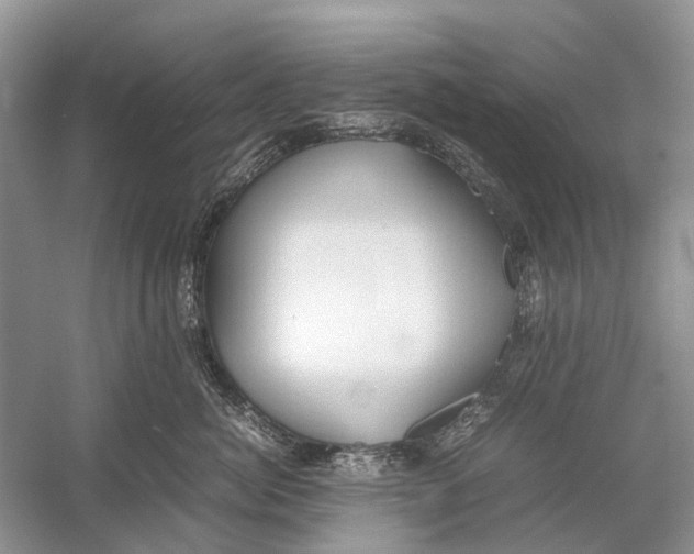 X0000054370764200508262341