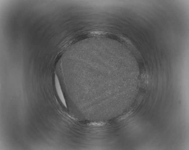 X0000054370765200508262341