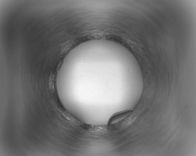 X0000054370768200508262341