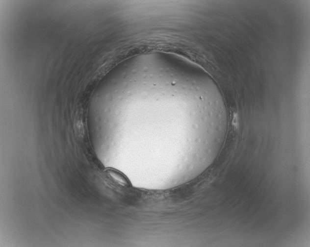 X0000054370771200508262340