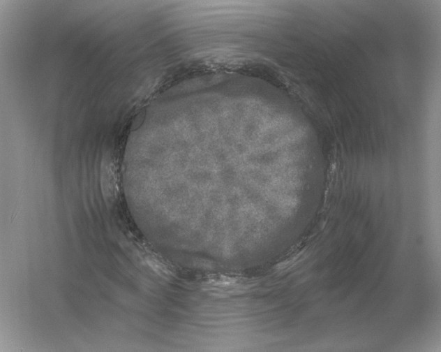 X0000054370772200508262340