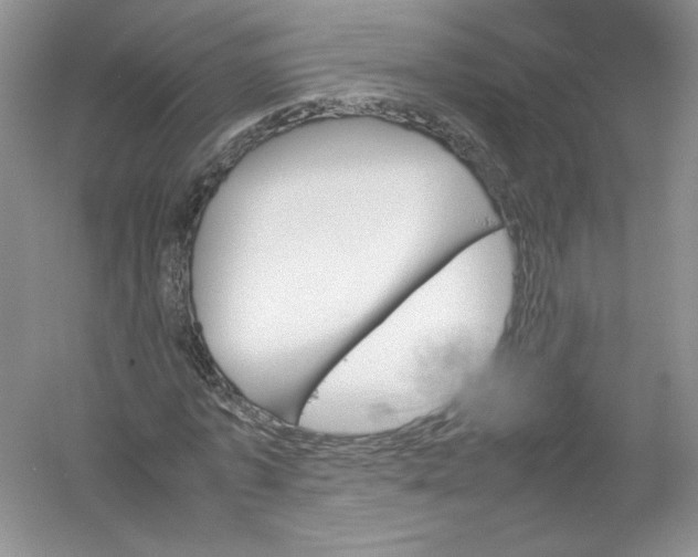 X0000054370773200508262340