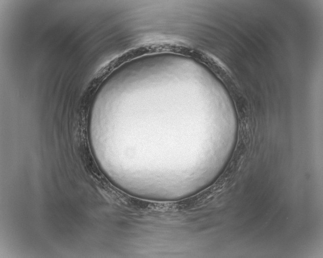 X0000054370775200508262340