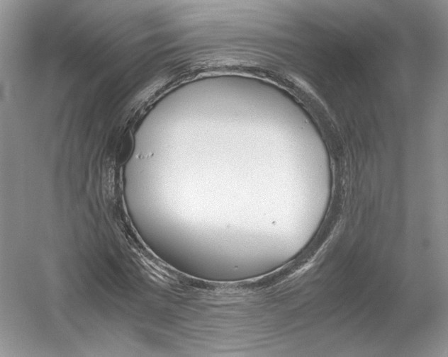 X0000054370777200508262340