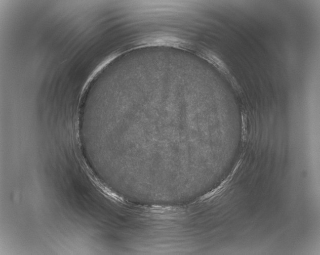 X0000054370780200508262340