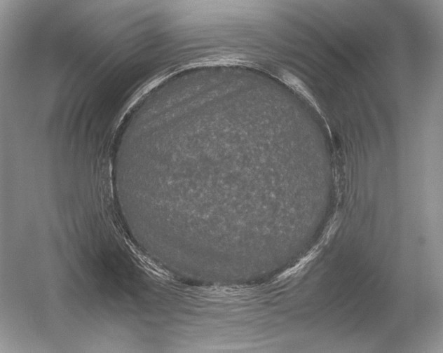 X0000054370781200508262340