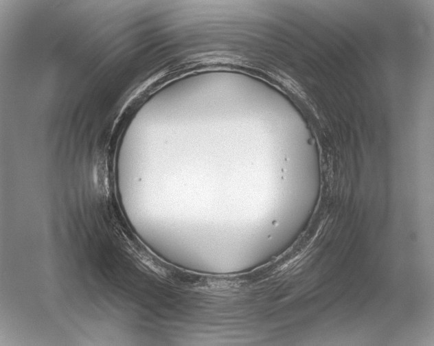 X0000054370782200508262340