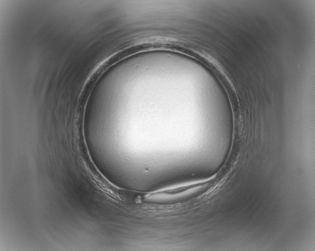 X0000054370783200508262340