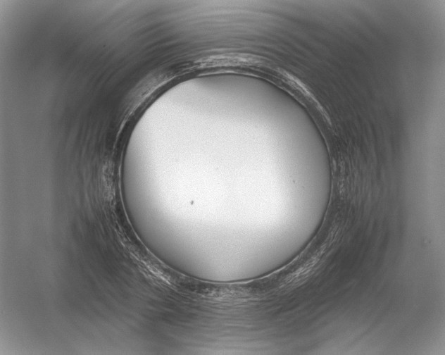 X0000054370786200508262340