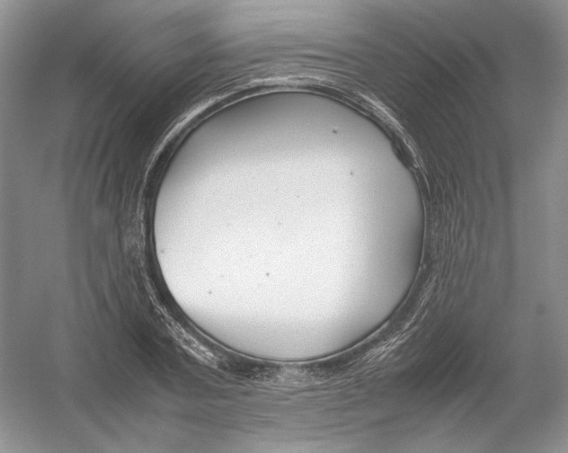 X0000054370787200508262340