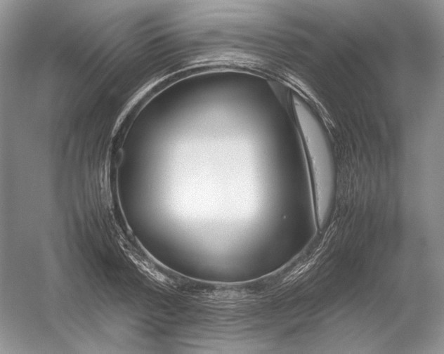 X0000054370788200508262340