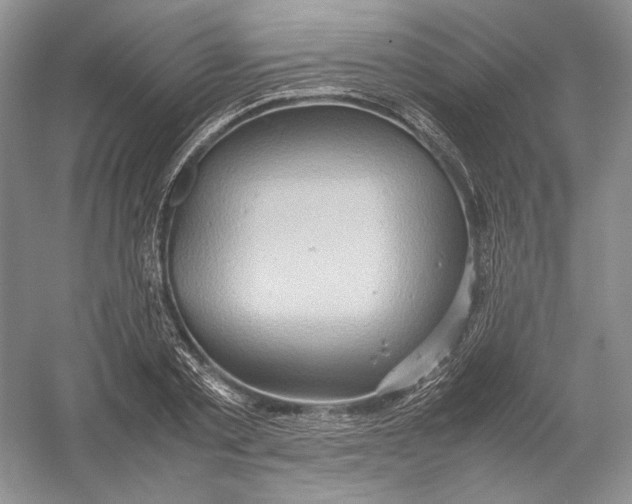 X0000054370789200508262340