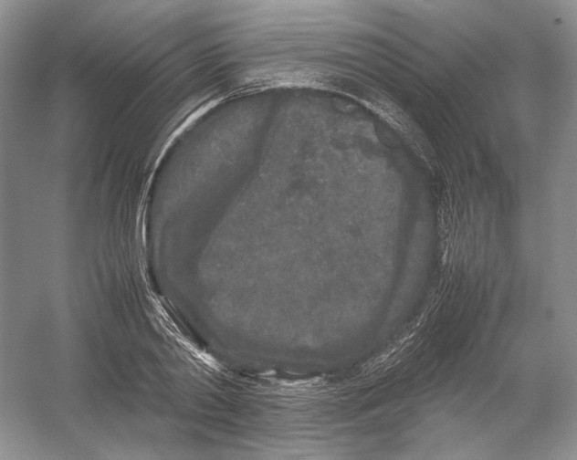 X0000054370790200508262340