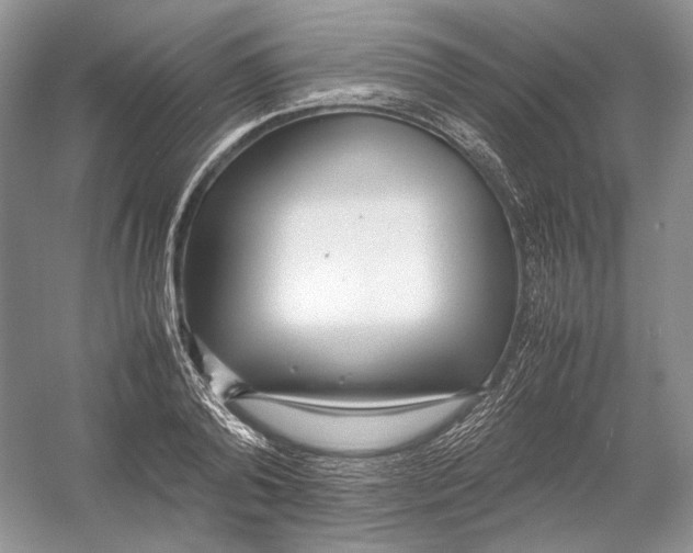 X0000054370792200508262340