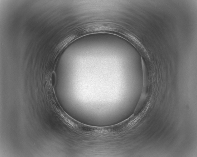 X0000054370793200508262340