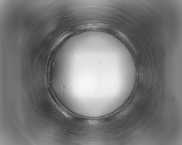 X0000054370794200508262340