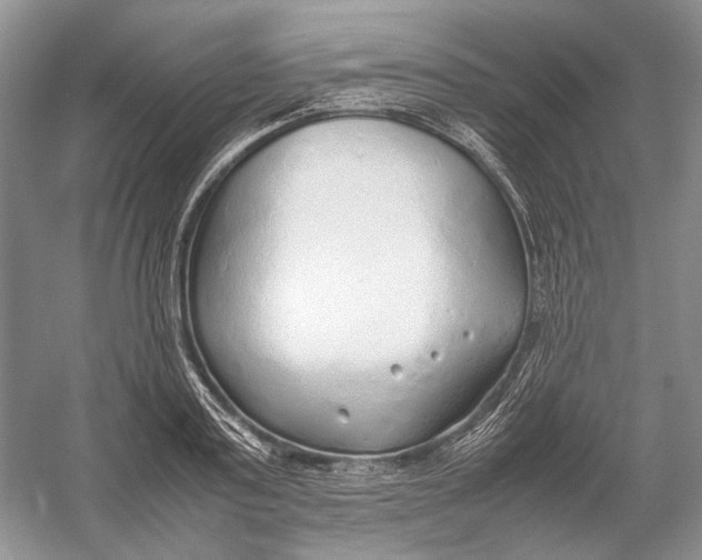 X0000054370795200508262340