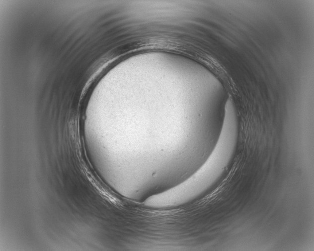 X0000054370796200508262340