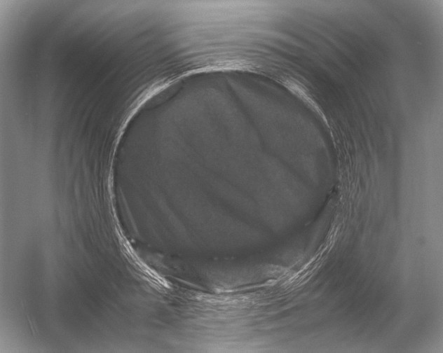 X0000054370797200508262340