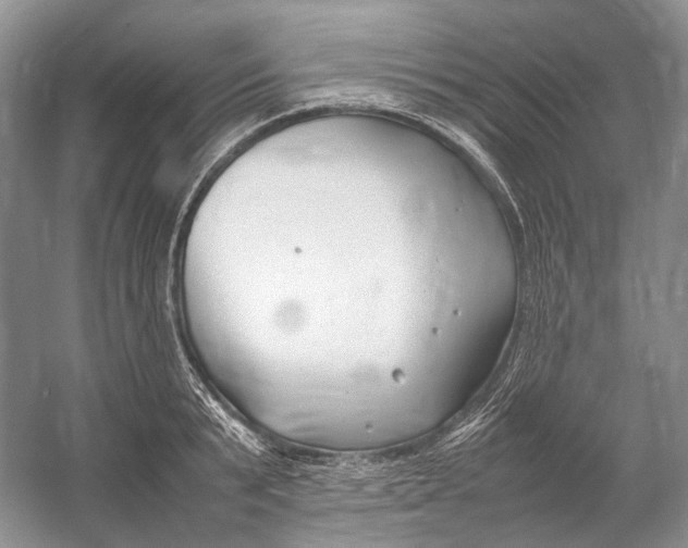 X0000054370799200508262340