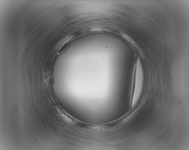 X0000054370801200508262340