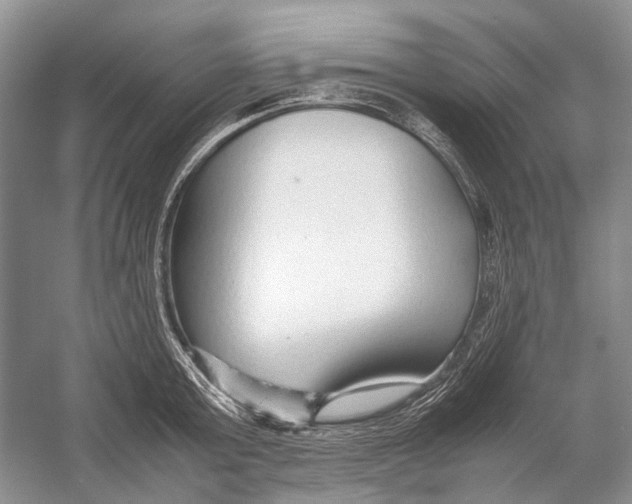 X0000054370803200508262340