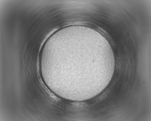 X0000054370804200508262340