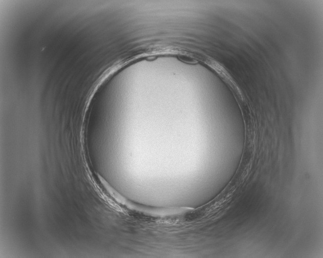 X0000054370805200508262340