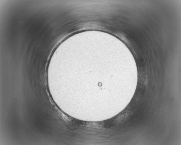 X0000054370807200508262339