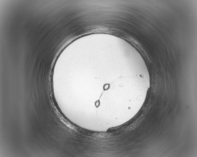 X0000054370808200508262339