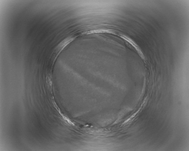 X0000054370809200508262339