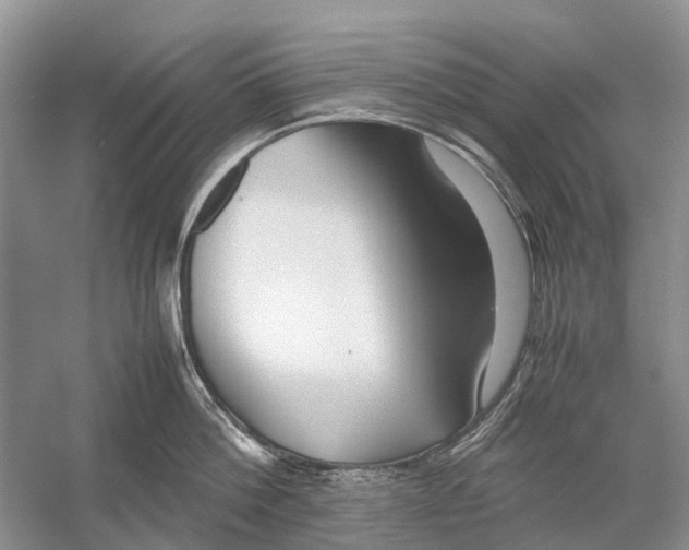 X0000054370812200508262339