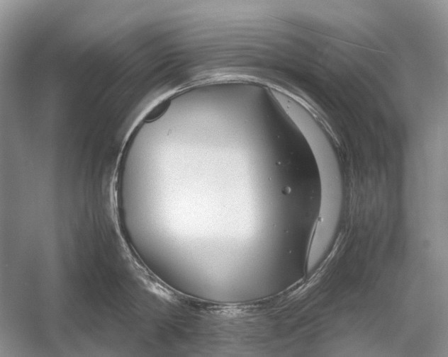 X0000054370814200508262339