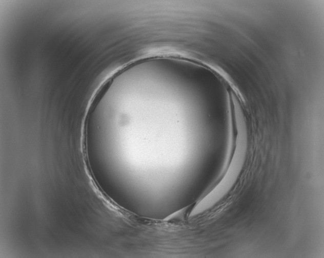 X0000054370815200508262339