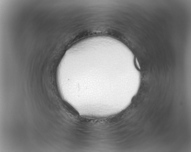 X0000054370817200508262339