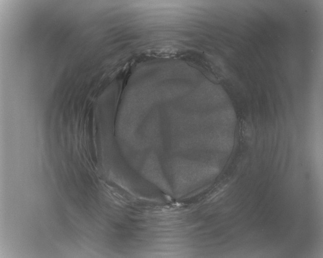 X0000054370818200508262339