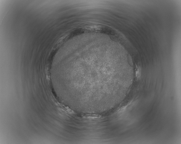 X0000054370819200508262339