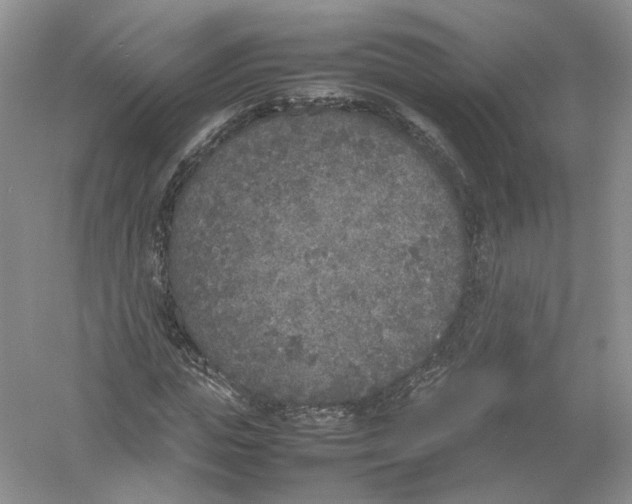 X0000054370823200508262339