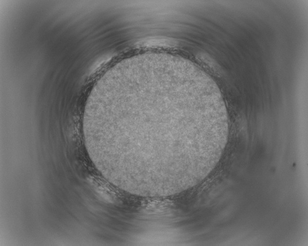 X0000054370824200508262339