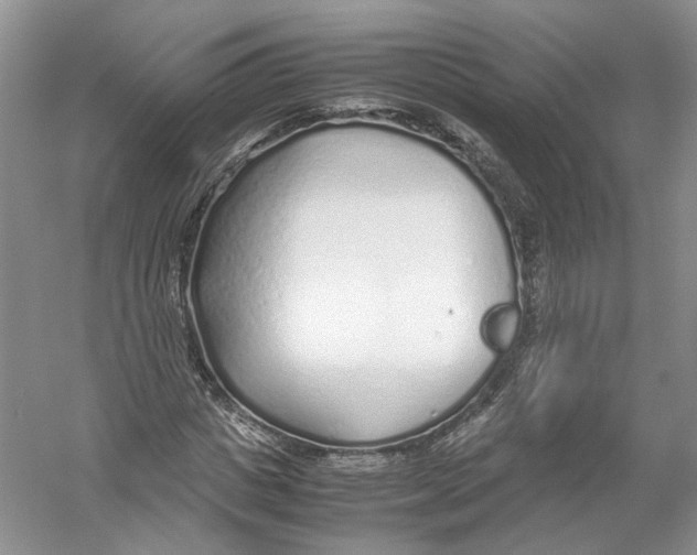 X0000054370825200508262339