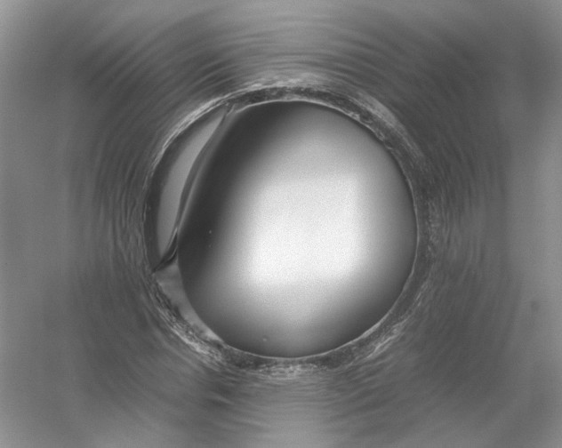 X0000054370826200508262339