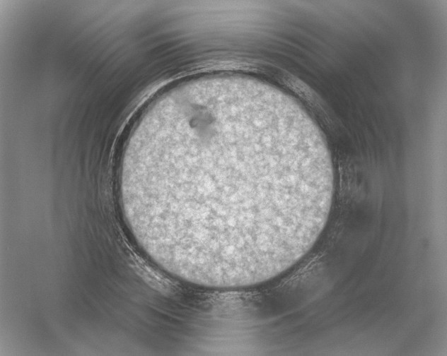 X0000054370828200508262339